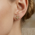 The Polarstern Earrings - Lab Grown Diamonds